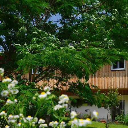 Das Stille Paradies Ledenitzen Zewnętrze zdjęcie