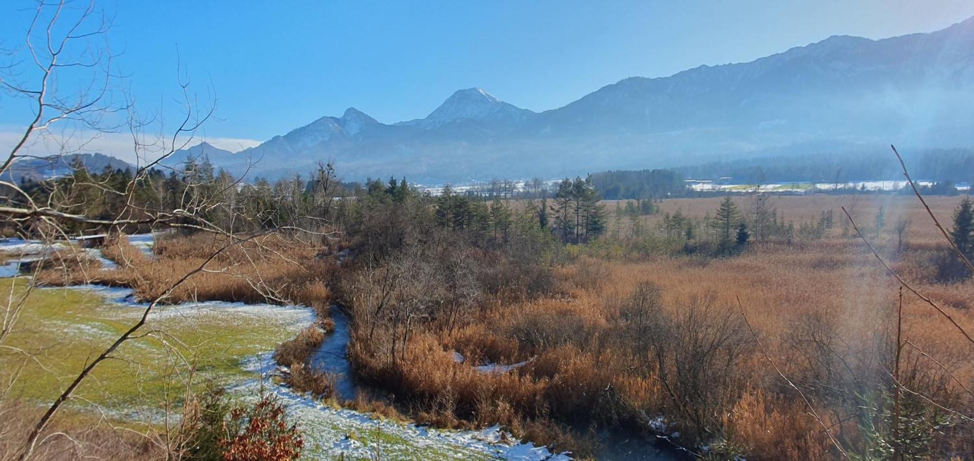 Das Stille Paradies Ledenitzen Zewnętrze zdjęcie