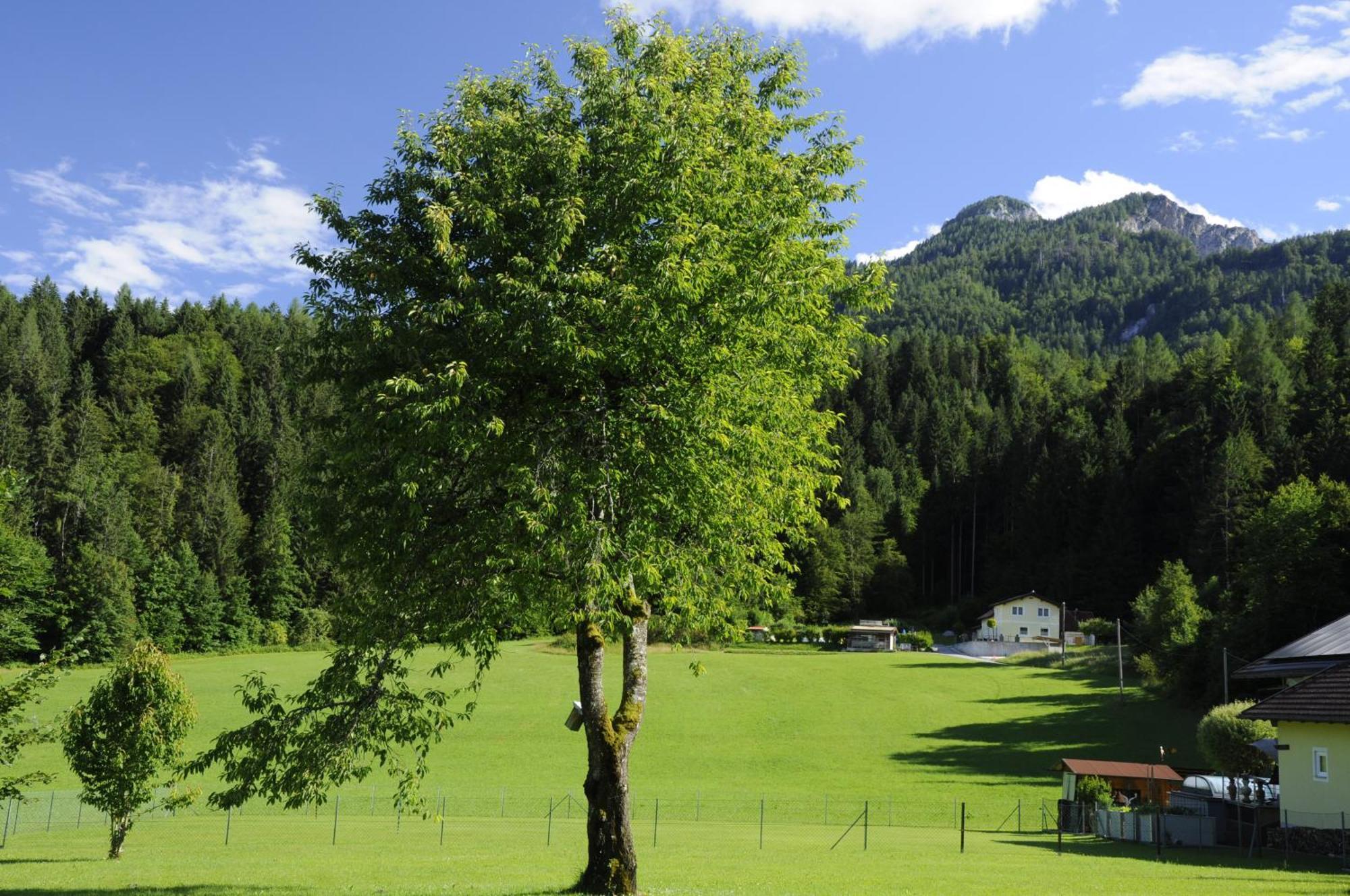 Das Stille Paradies Ledenitzen Zewnętrze zdjęcie